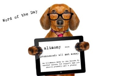 Prenups aren’t just for the Beys and Jays of the world: Alimony Edition