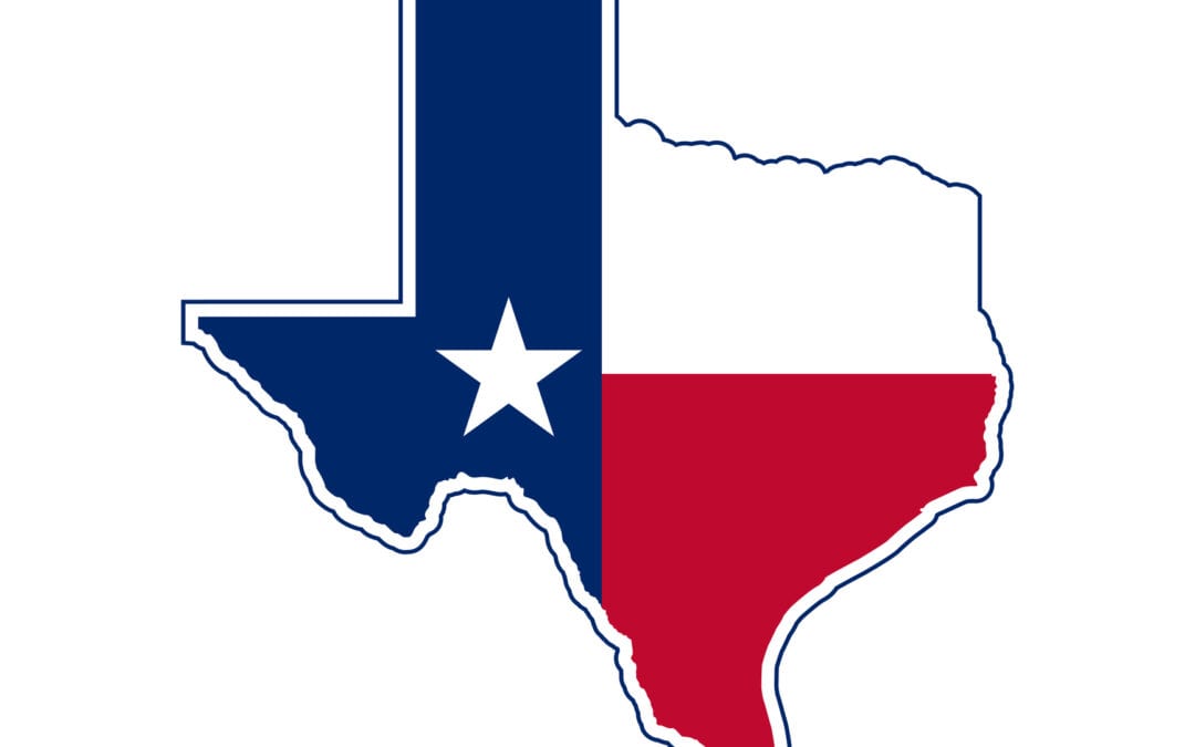 State Specific Summary: Howdy, Texas!