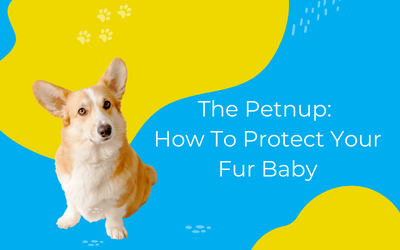 The Petnup: How To Protect Your Fur Baby