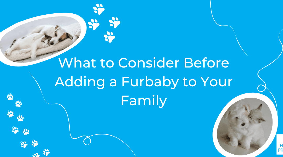 What to Consider Before Adding a Furbaby to Your Family