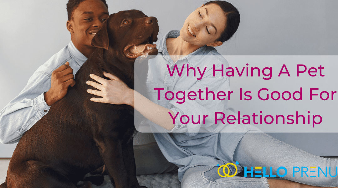 Why Having A Pet Together Is Good For Your Relationship