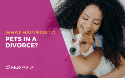 Pets and Divorce – What Happens to Fluffy Without a Prenup?