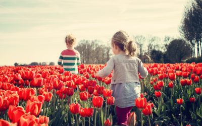 How Is Alimony Different From Child Support