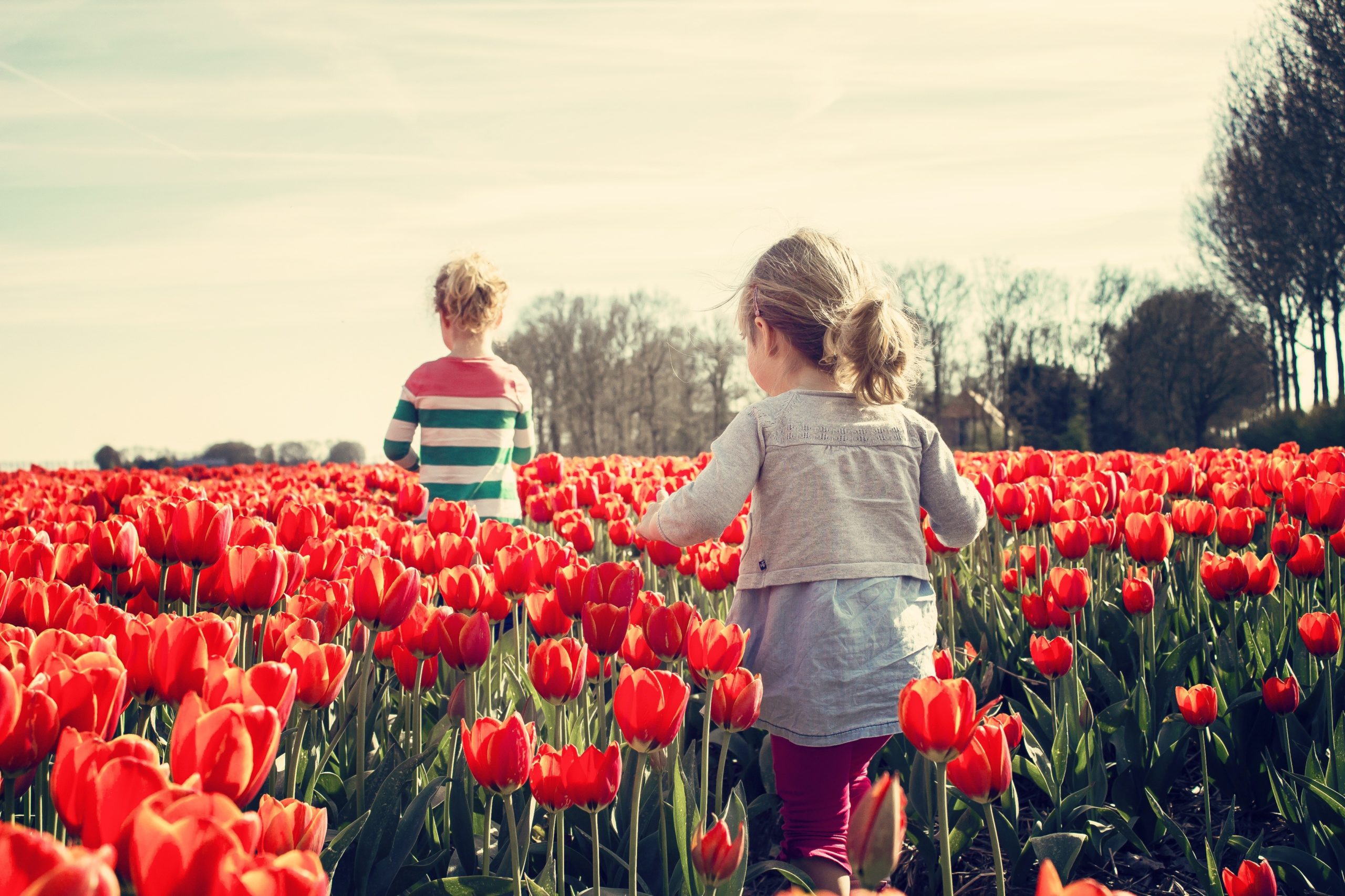 two children walking in a field of flowers they have Child Support