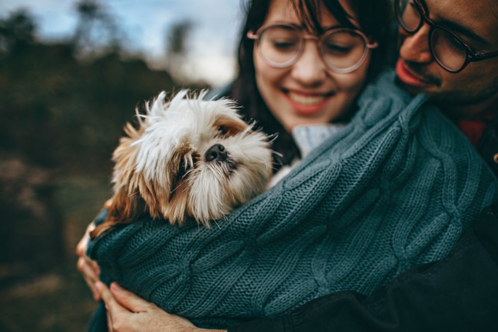 couple petting their dog What Information Do You Need For A Prenup?