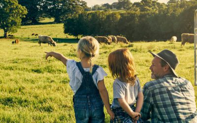 Creating a Prenup to Protect Farm Property