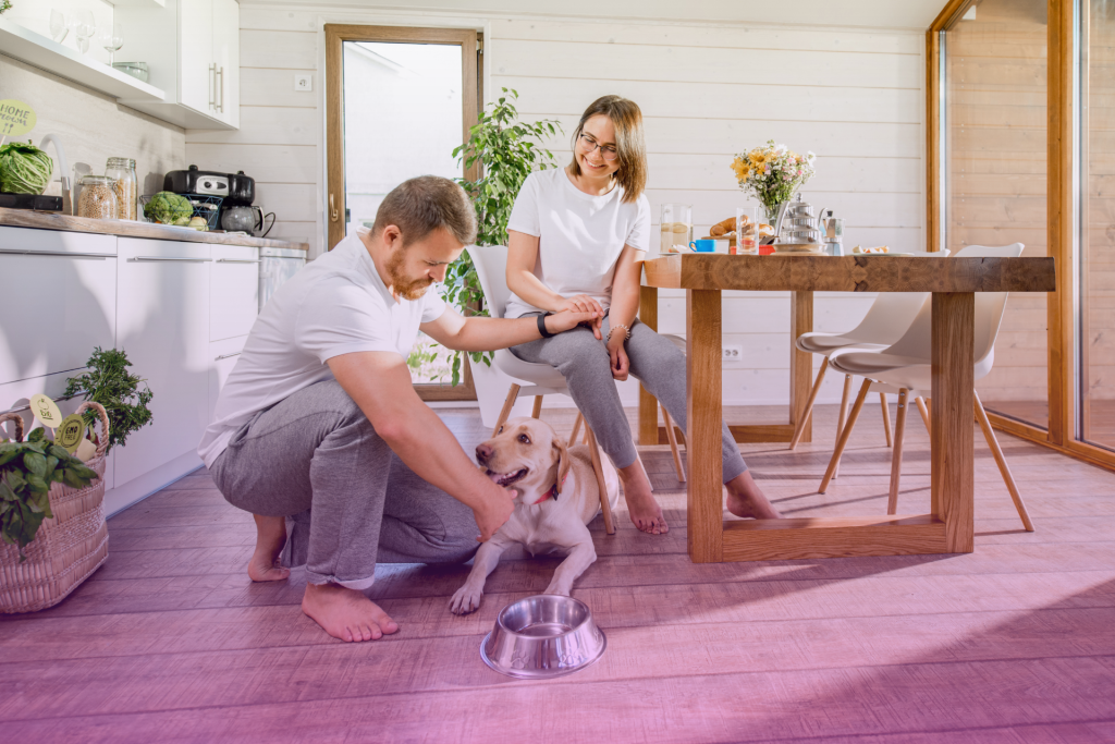 couple playing and laughing in the kitchen with their golden retriever dog