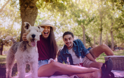 What Should Couples Consider Before Getting a Pet?