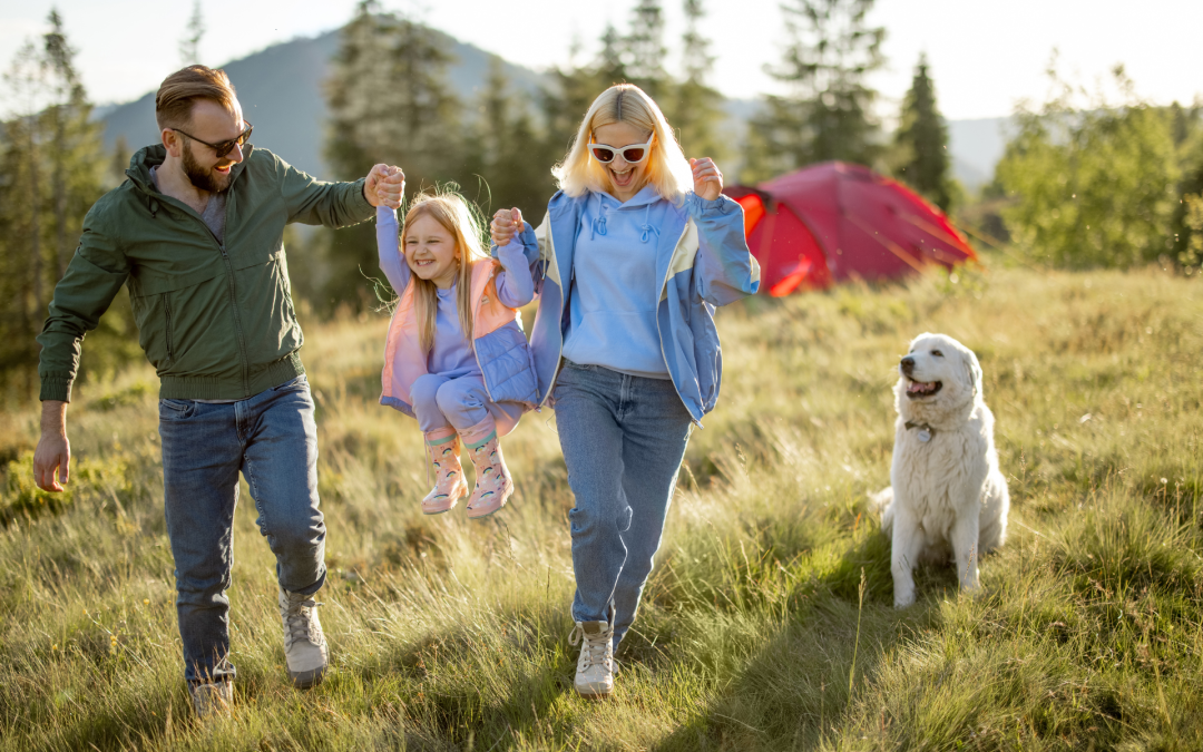 Breaking Down Prenup Pricing in Nevada