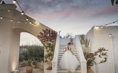Booking Wedding Vendors During Peak Season: Survival Guide