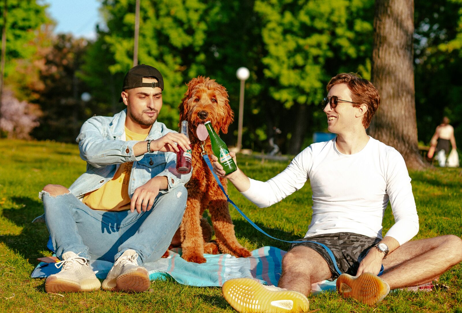 Two friends with a poodle enjoying a summer picnic in the park