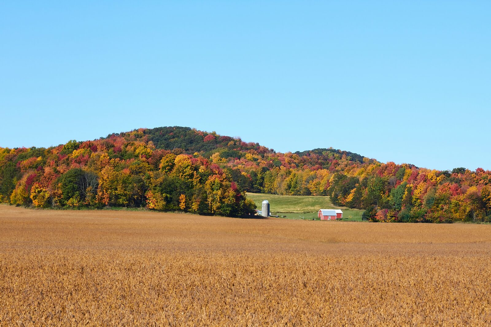A Wisconsin farm with a red barn and silo above a soybean field in autumn, the kind of property a prenup can classify