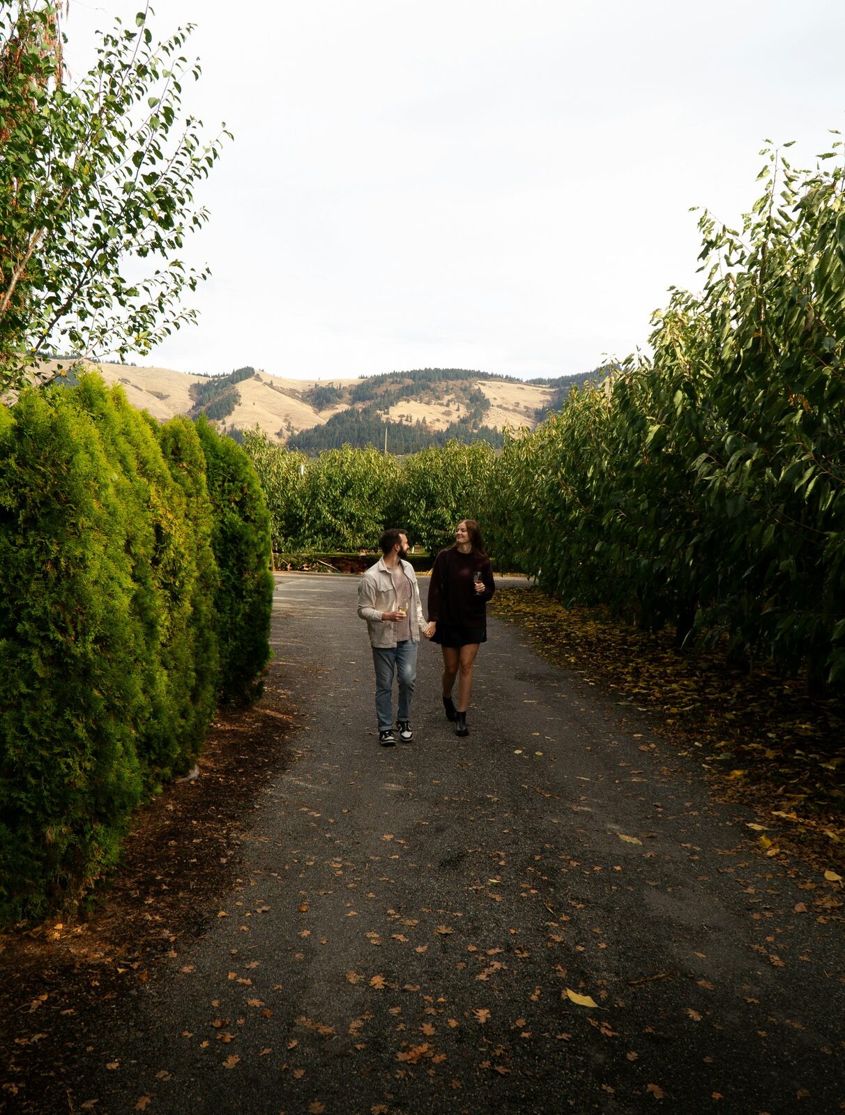 Oregon couple walking through a Willamette Valley vineyard near Hood River in wine country